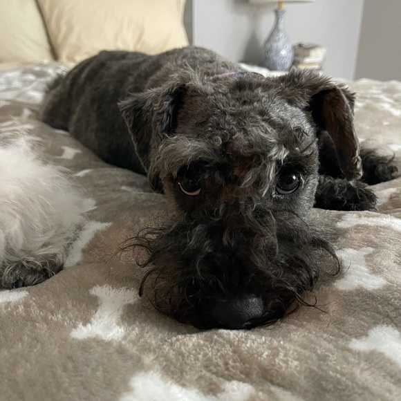 Meet your Posher, Edita - Picture 3 of 4